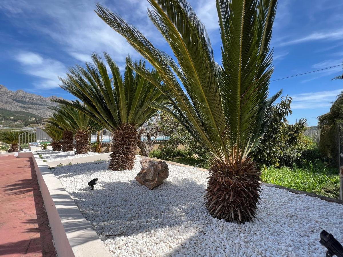 Casa Rural Altaret Callosa de Ensarriá エクステリア 写真