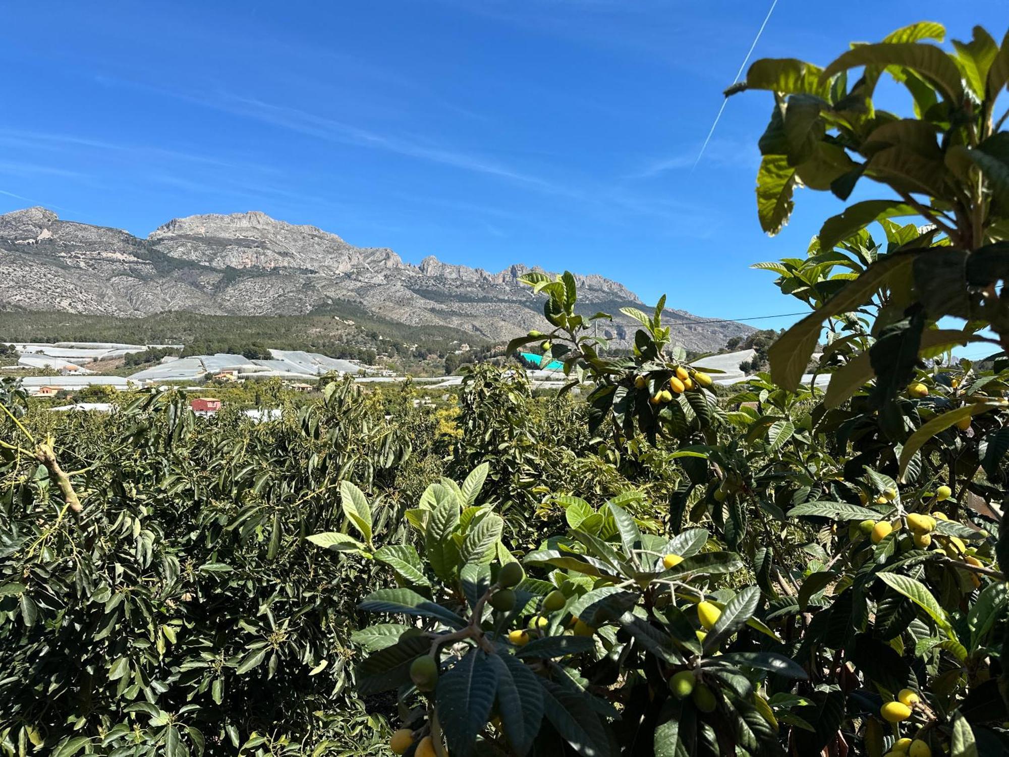 Casa Rural Altaret Callosa de Ensarriá エクステリア 写真