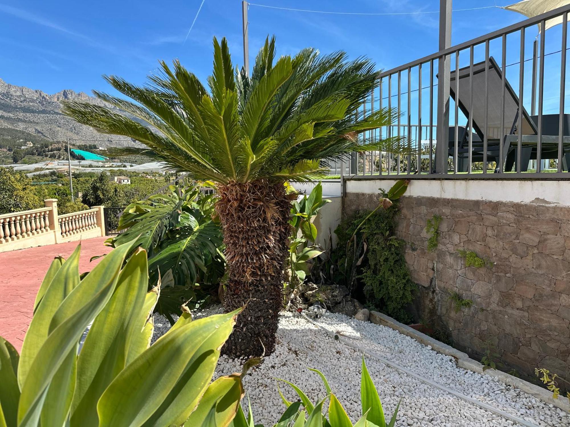 Casa Rural Altaret Callosa de Ensarriá エクステリア 写真